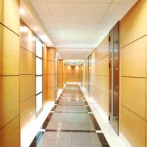 Вид общих зон Бизнес-центр «Барклай Плаза»